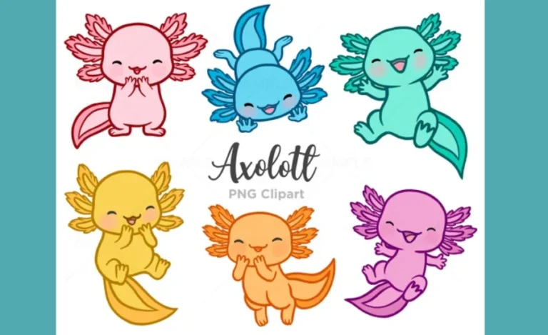 Kawaii:7-xepu7gqzq= Axolotl