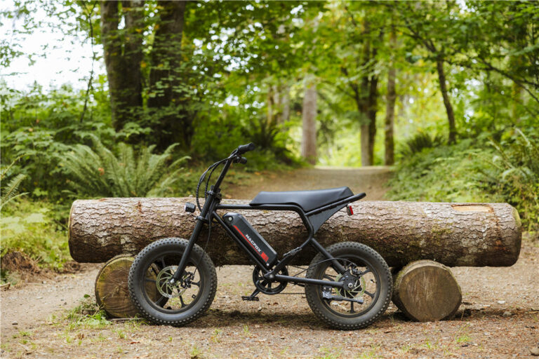 Is an Electric Bike Right for Your Fitness Level?